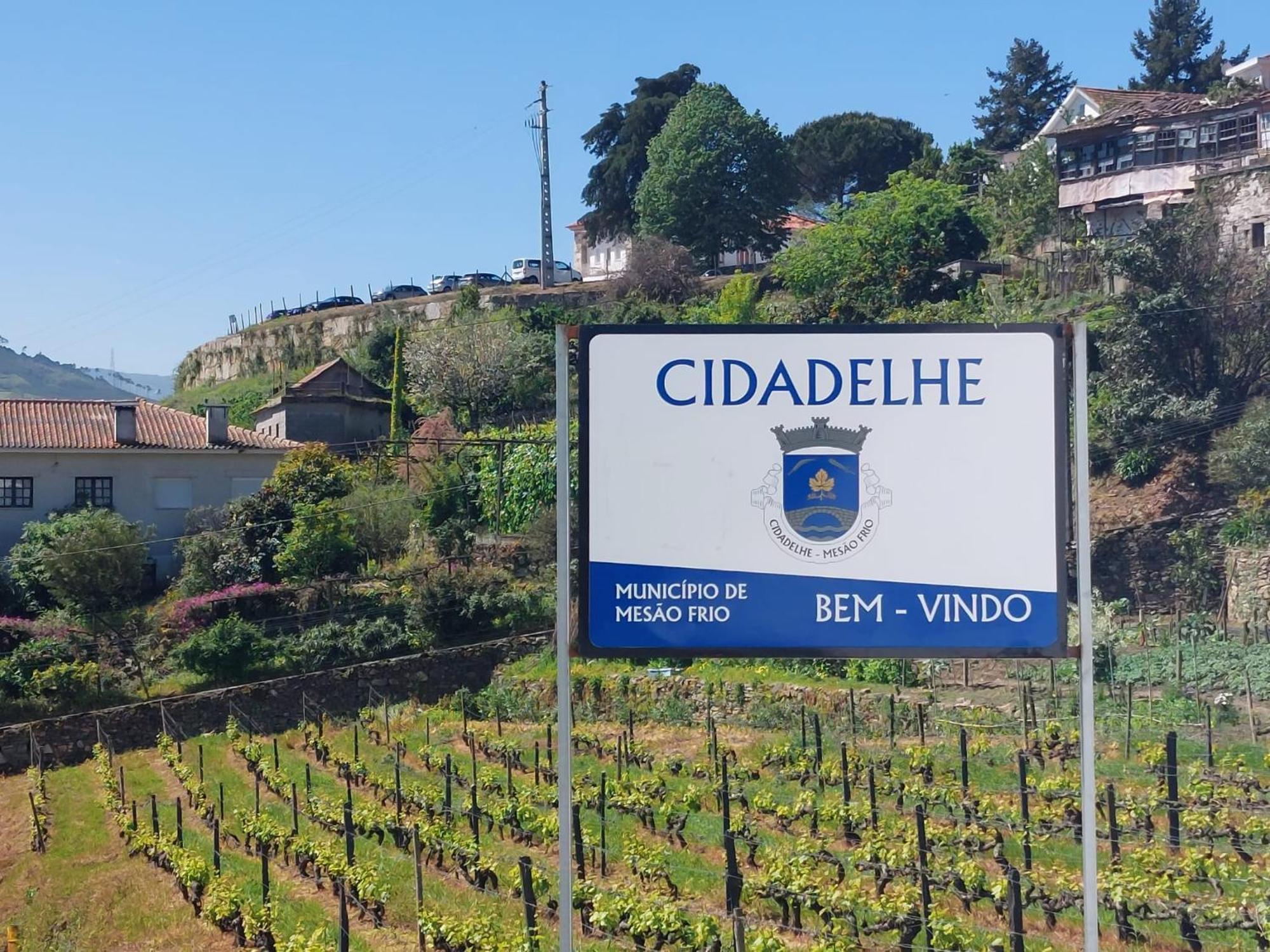 Casa Ceci Douro Villa Cidadelhe  ภายนอก รูปภาพ